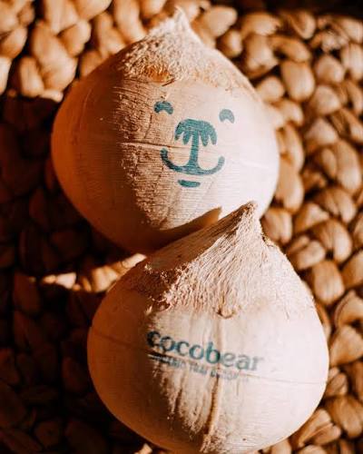 cocobear!